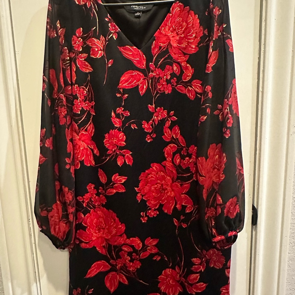 Ronni Nicole Black & Red  Dress
